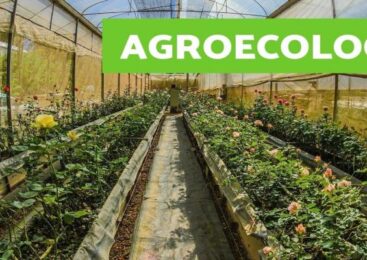 Finaliza #Hoy en Cuba foro mundial de agroecología