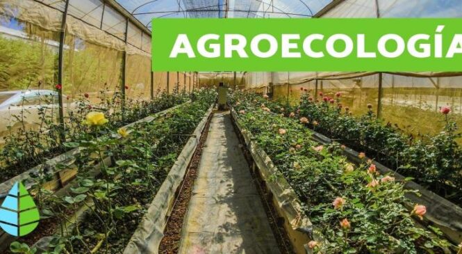 Finaliza #Hoy en Cuba foro mundial de agroecología
