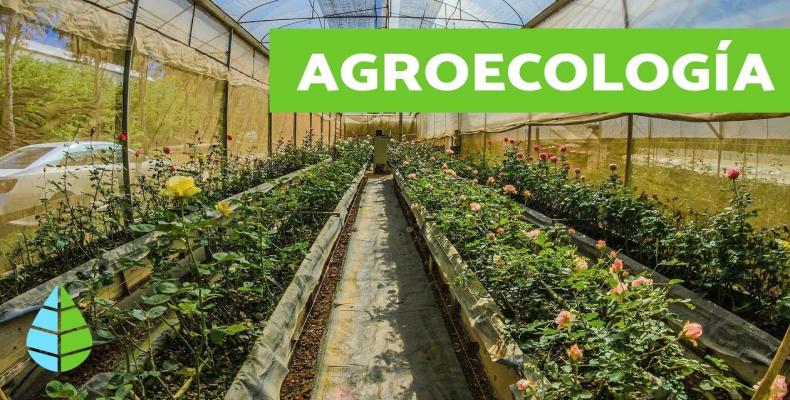 7047 agroecologia