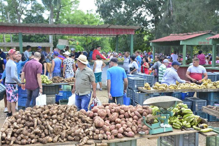 feria agropecuaria 5367