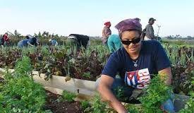 mujer campesina