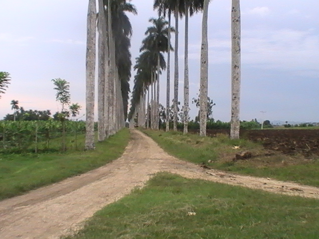 paisaje rural