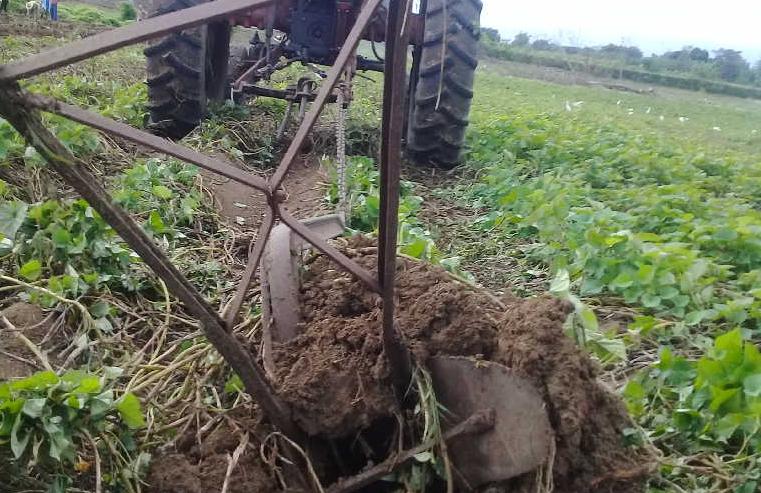 rendimientos agricolas en sancti spiritus 091046