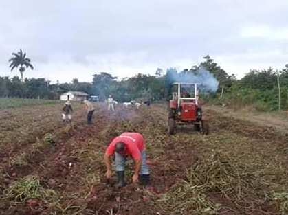 tractor FH