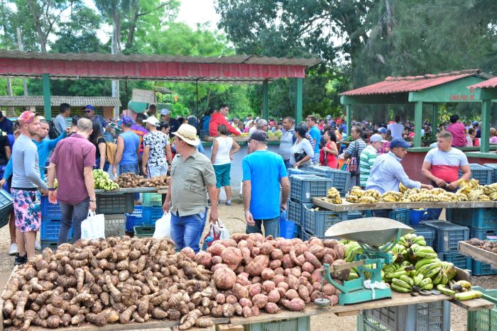 feria del agro