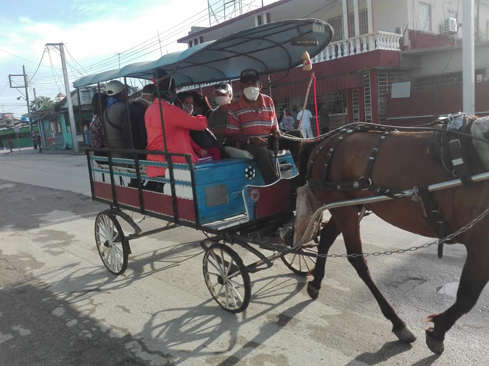 2 foto transporte 1