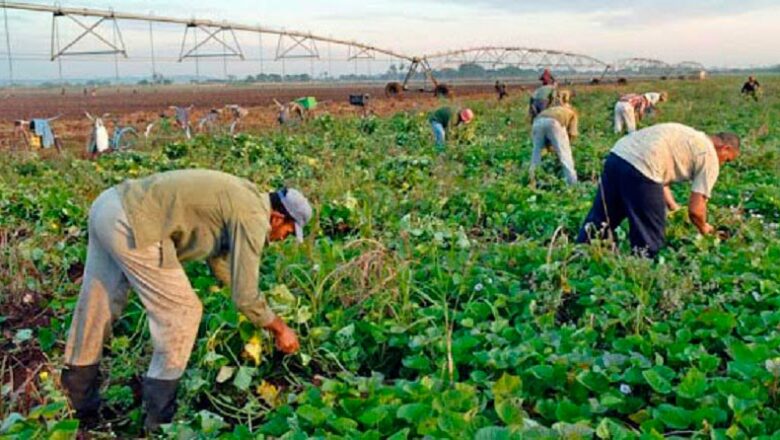 Conmemoran el 26 de Julio en Cabaiguán con la creación de polos productivos para contribuir a la alimentación del pueblo