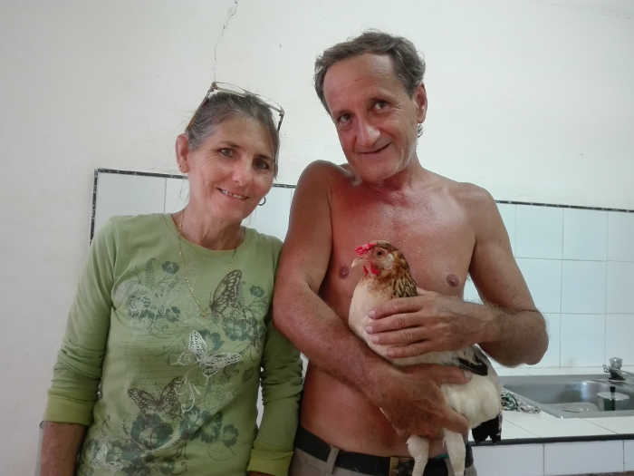 2 gallina cabaiguan