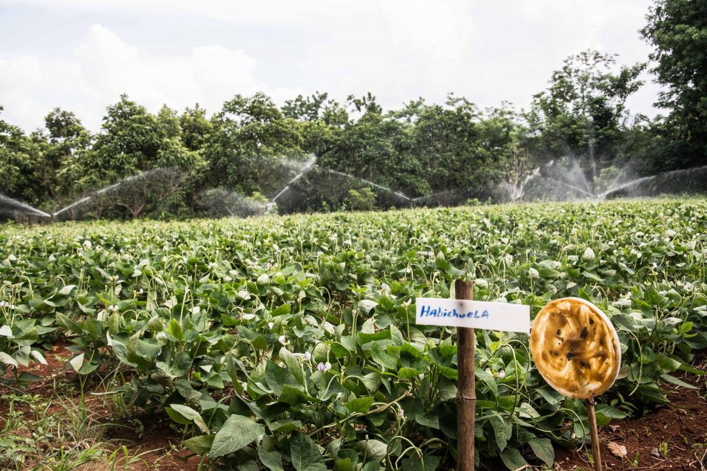 2 agroecologia cabaiguan