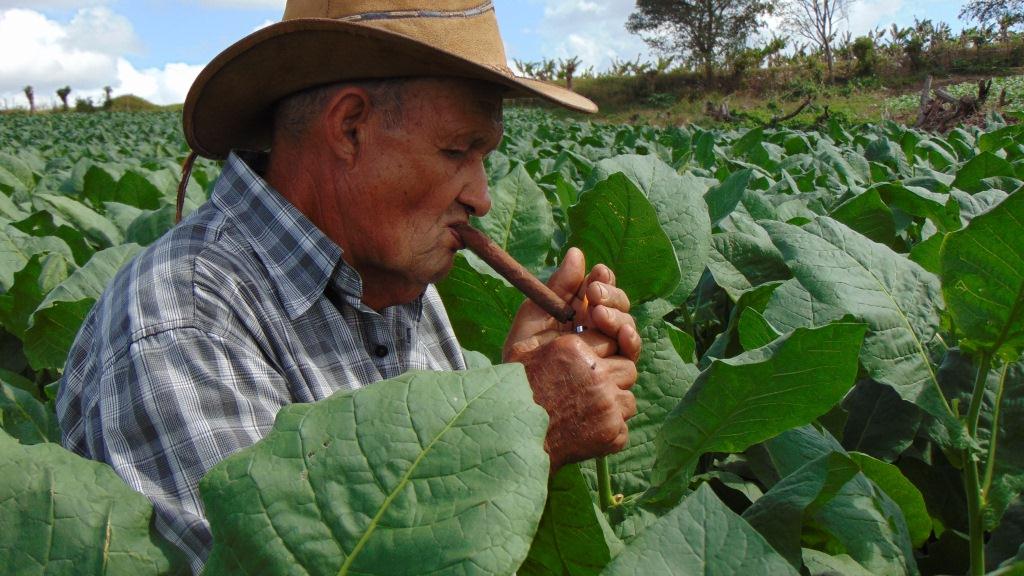 4 Campesino ensiende su sorullo