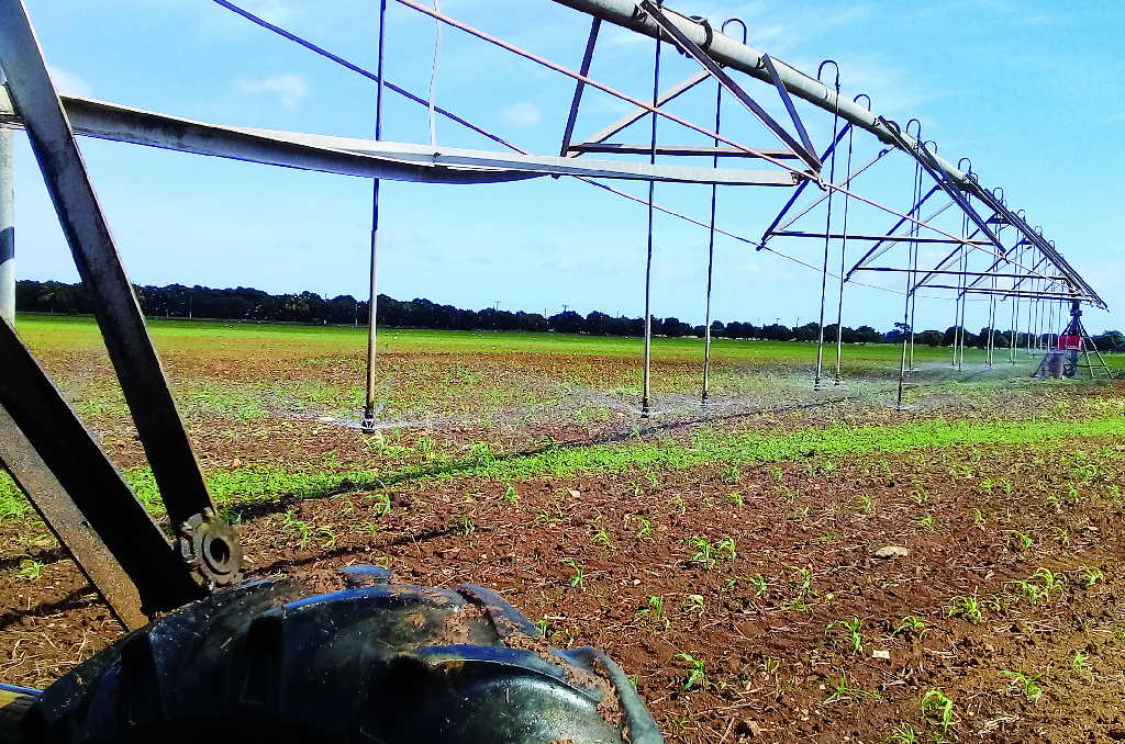 riego electrificado en la agricultura espirituana foto jose luis camellon